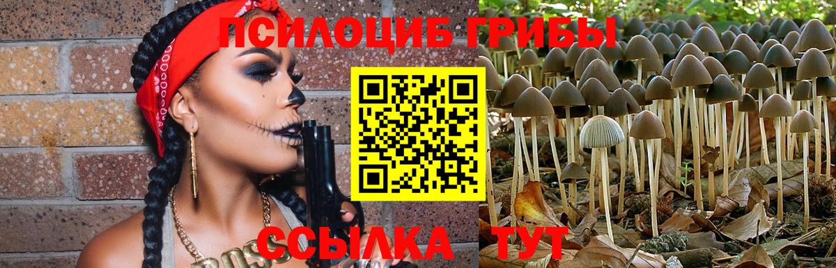 Ахтубинск  Галлюциногенные грибы MAGIC MUSHROOMS  Вход с VPN 