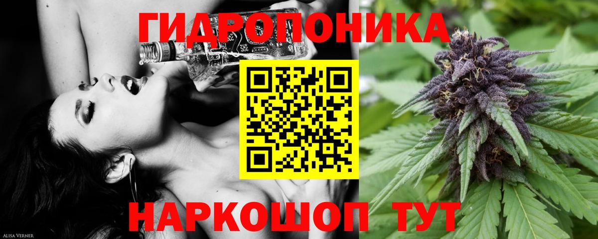 Каннабис планчик  Конопля план  Ахтубинск  Вход с VPN  Канабис SATIVA & INDICA 